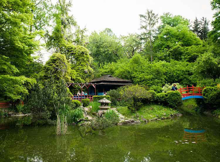 Gradina Botanica din Cluj